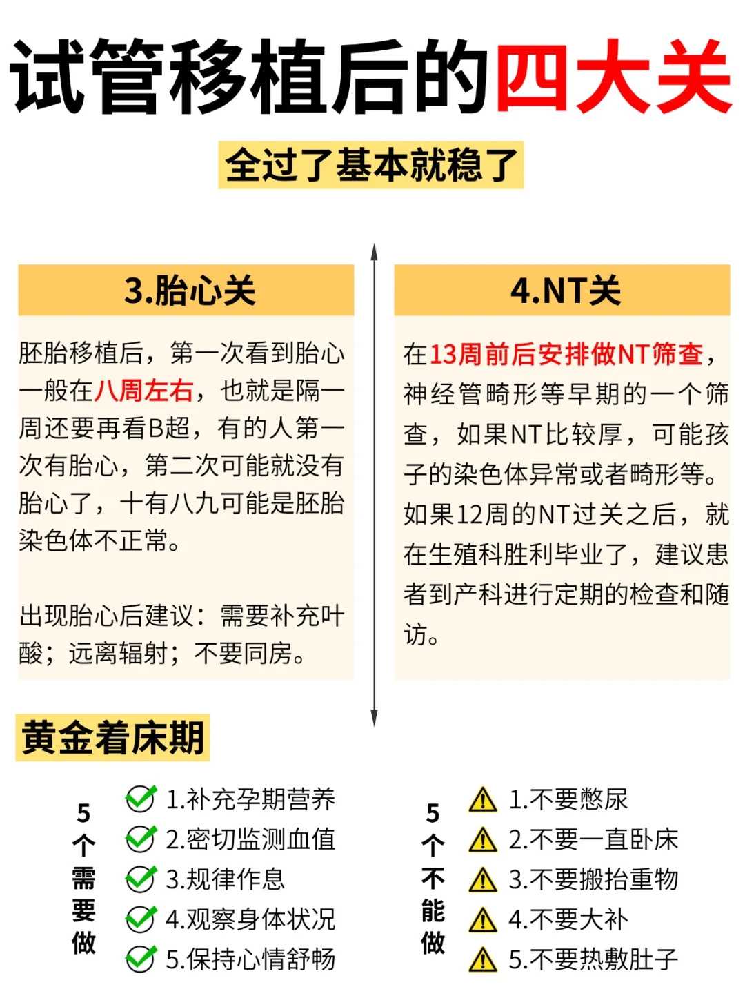 什么是冷冻胚胎