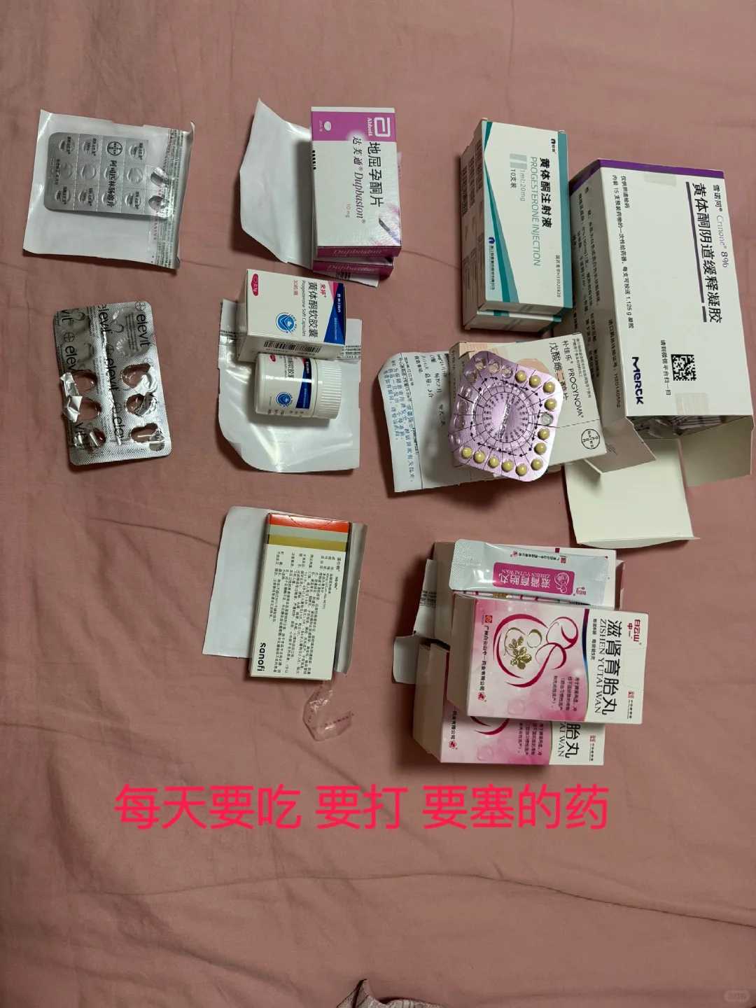 成都做供卵需要多少钱,成都市第五做一次供卵试管需要多少钱