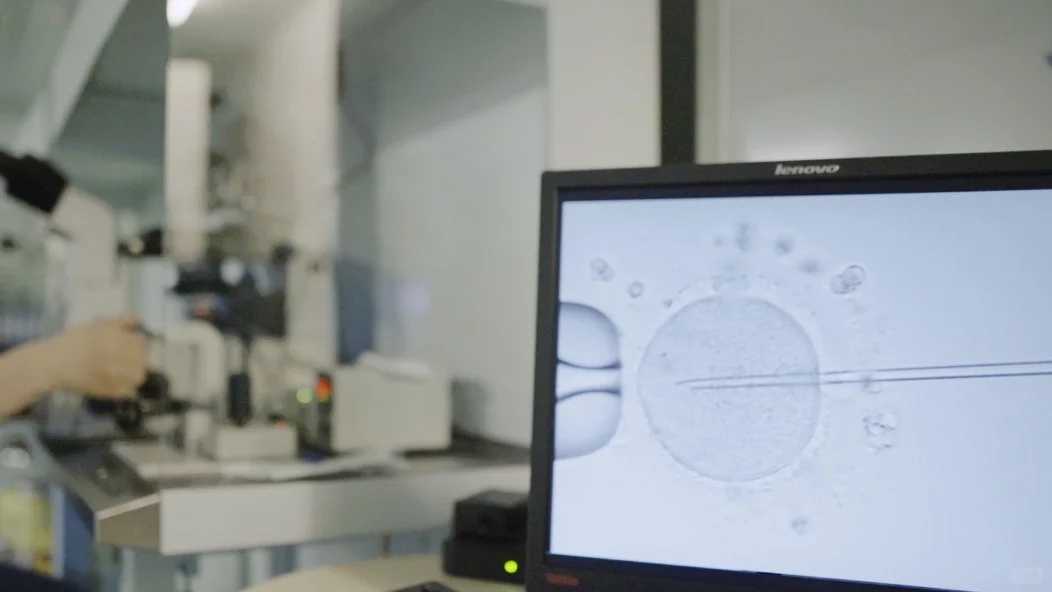 成都怎么找到代孕女人,成都试管三代多少钱啊医保_成都试管婴儿医院丨成都助