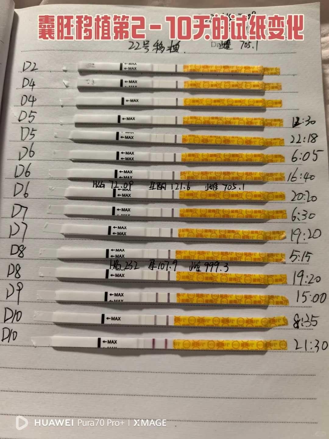 供卵试管机构_供卵试管哪里做,北京供卵试管包成功博客（河北供卵试管）