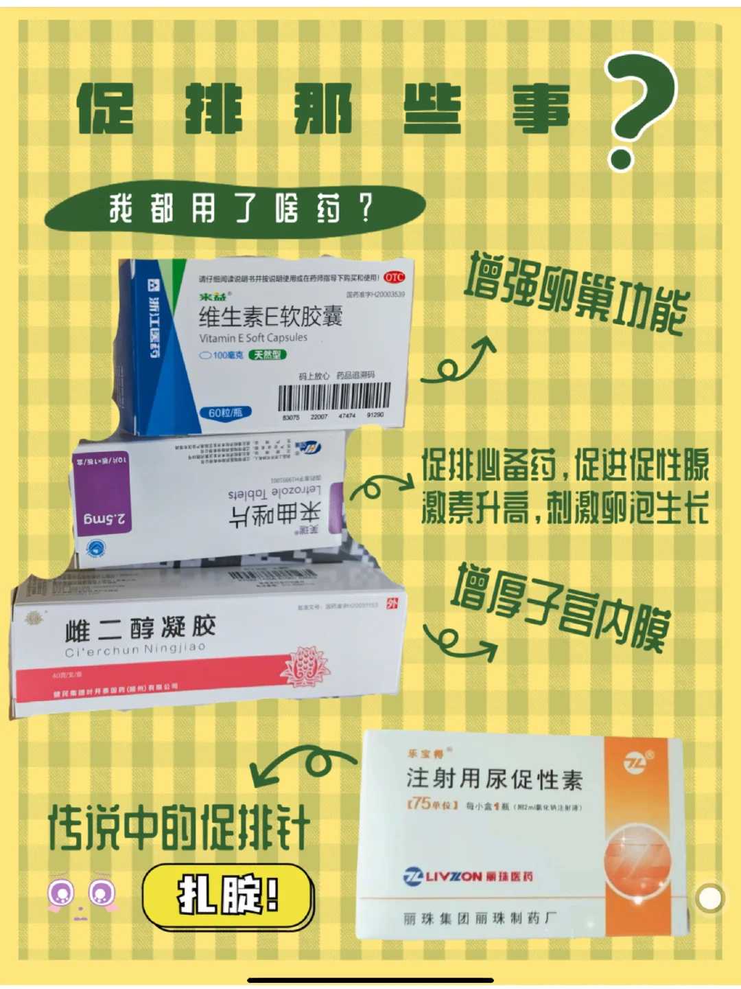试管婴儿鲜胚移植成功率高吗？术前术后需要注意什么？