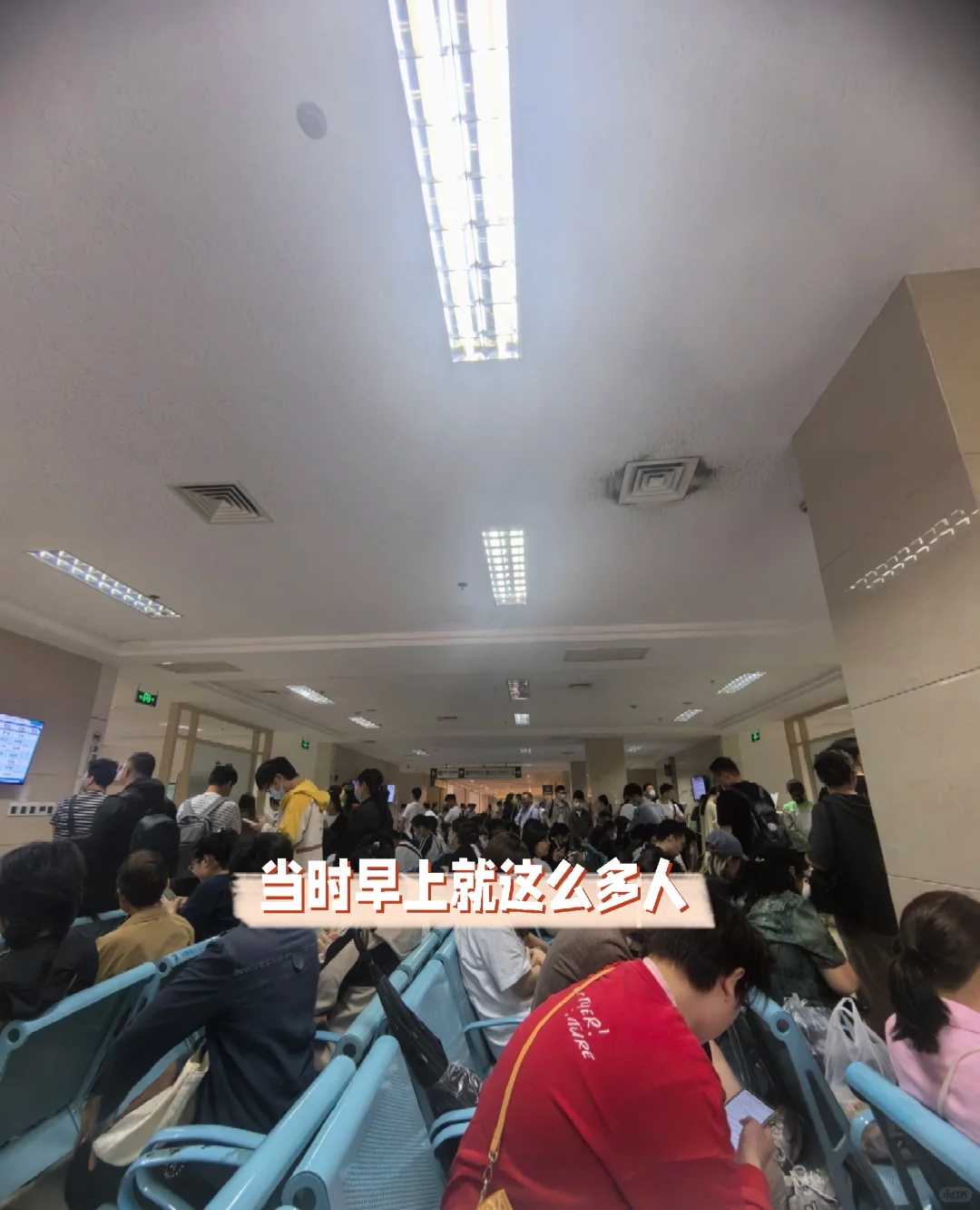 试管婴儿一代诞生，囊胚移植的奇迹！